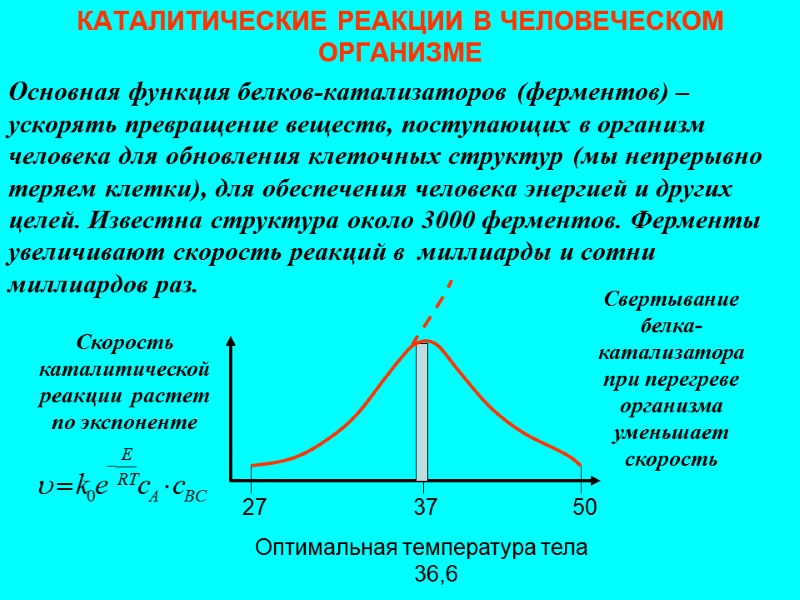 КАТАЛИТИЧЕСКИЕ РЕАКЦИИ В ЧЕЛОВЕЧЕСКОМ ОРГАНИЗМЕ Основная функция белков-катализаторов (ферментов) – ускорять превращение веществ, поступающих